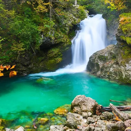 Lake Bled Holiday Home