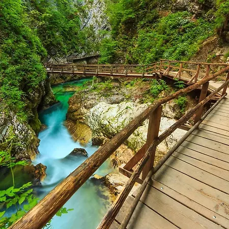 Lake Bled Holiday Home *